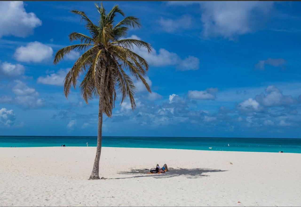 Ocean View Condo Overlooking The Caribbean Sea Oranjestad Luaran gambar